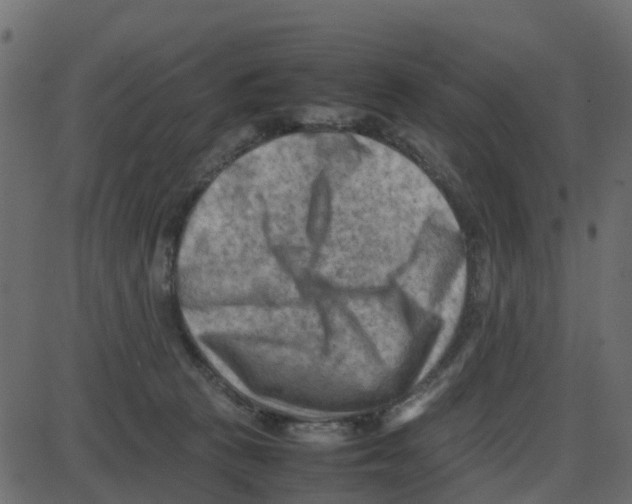 X0000087400273200705181340