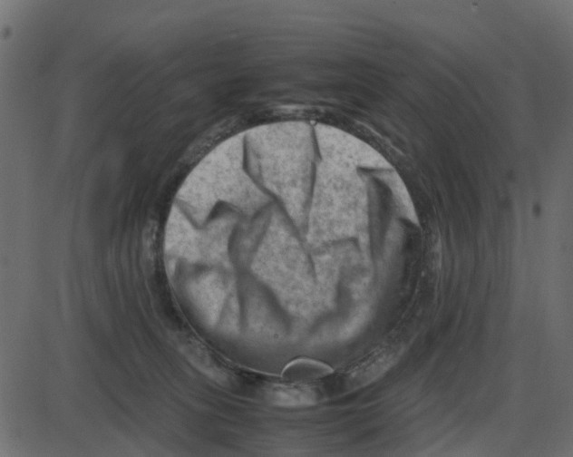 X0000087400275200705181340