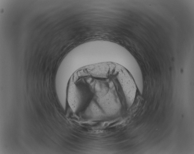 X0000087400276200705181340