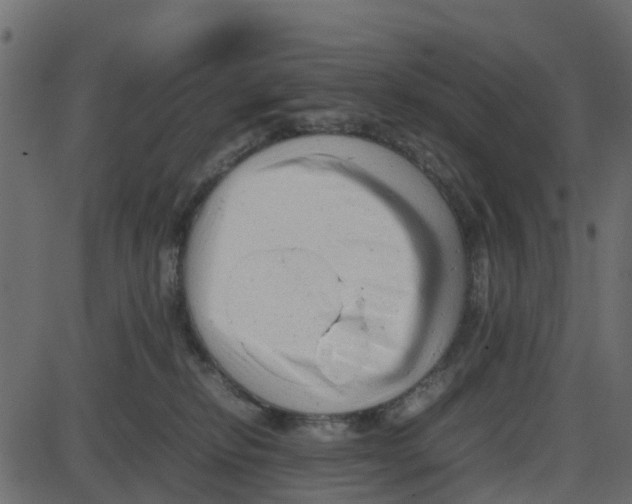 X0000087400278200705181340