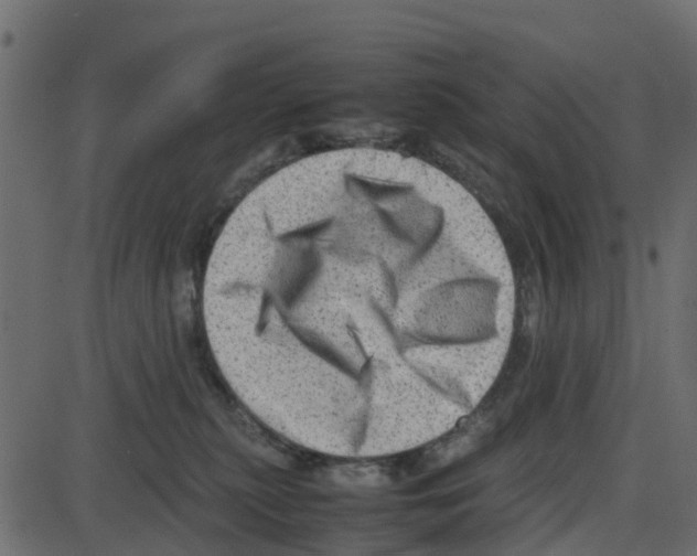 X0000087400279200705181340