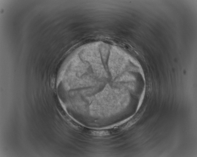 X0000087400281200705181340