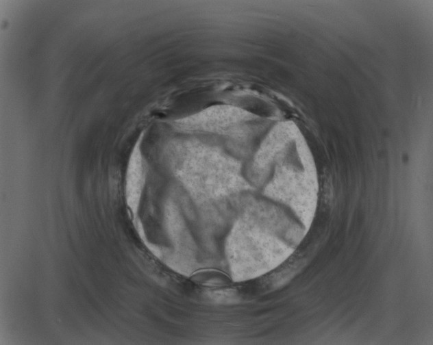 X0000087400283200705181340