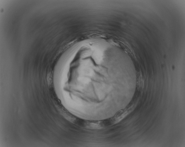 X0000087400285200705181340