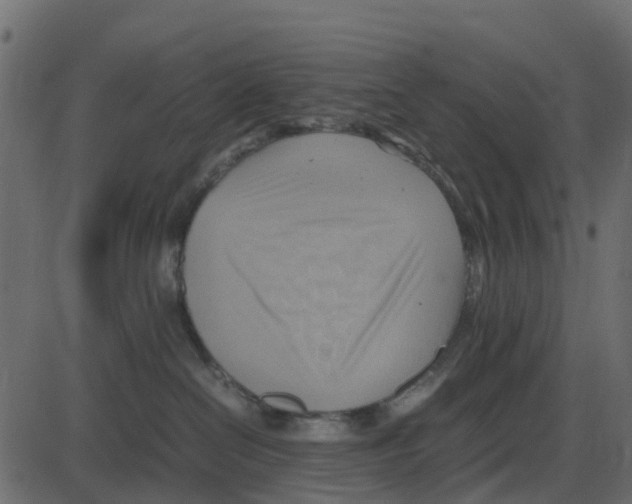 X0000087400286200705181340