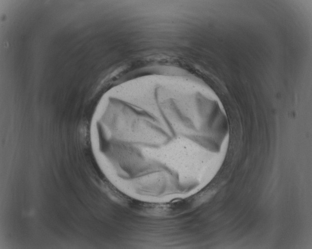 X0000087400288200705181340