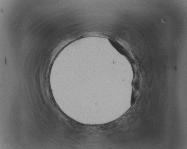 X0000087400289200705181339