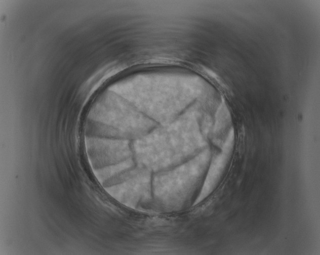 X0000087400290200705181339