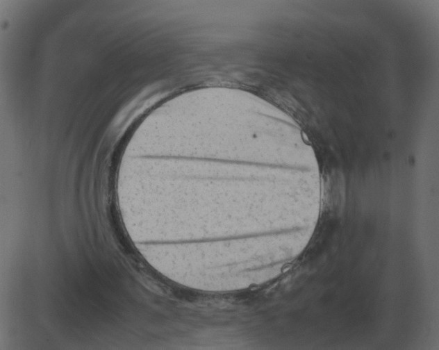 X0000087400291200705181339