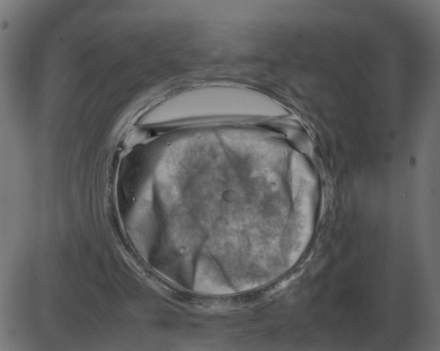 X0000087400293200705181339