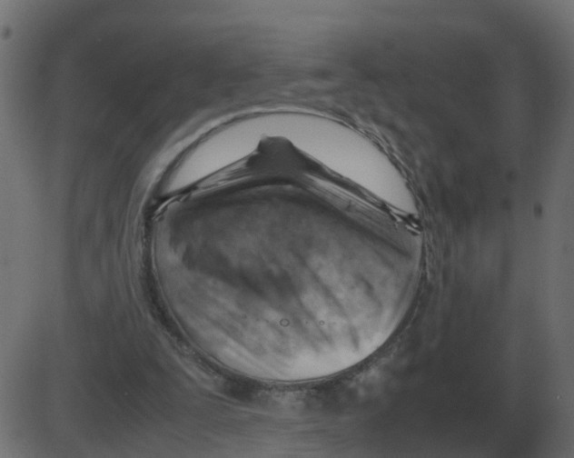 X0000087400295200705181339