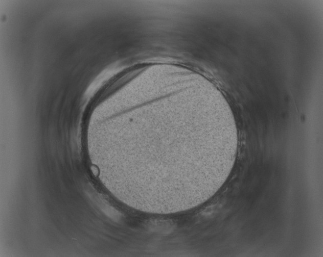 X0000087400296200705181339