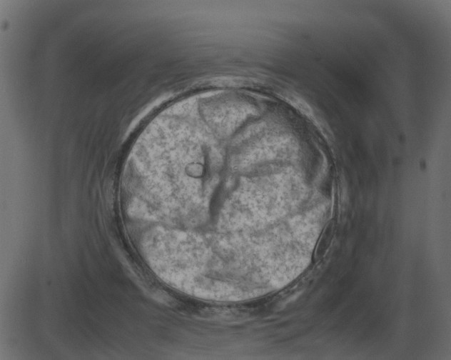 X0000087400297200705181339