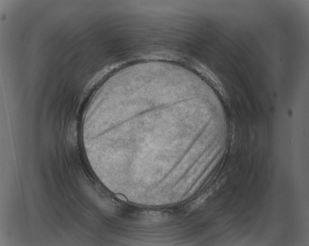 X0000087400298200705181339