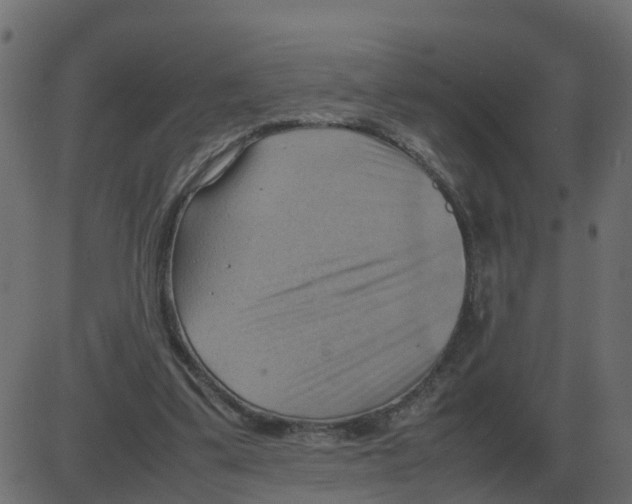 X0000087400299200705181339