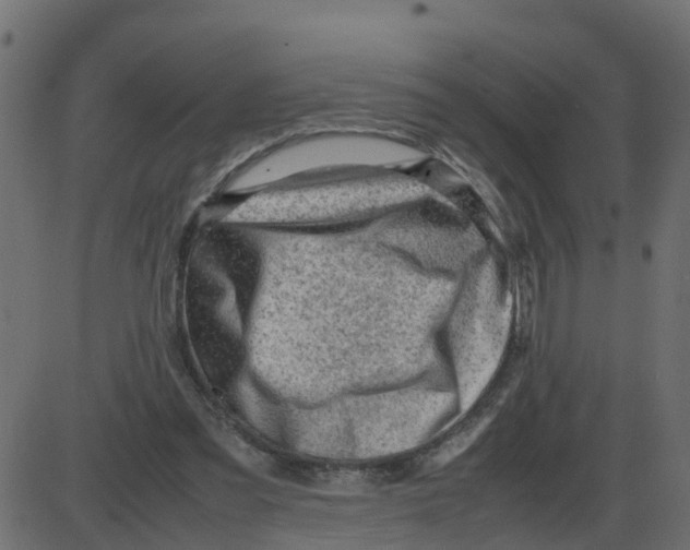 X0000087400301200705181339