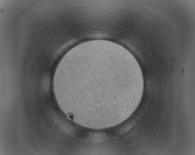 X0000087400304200705181339