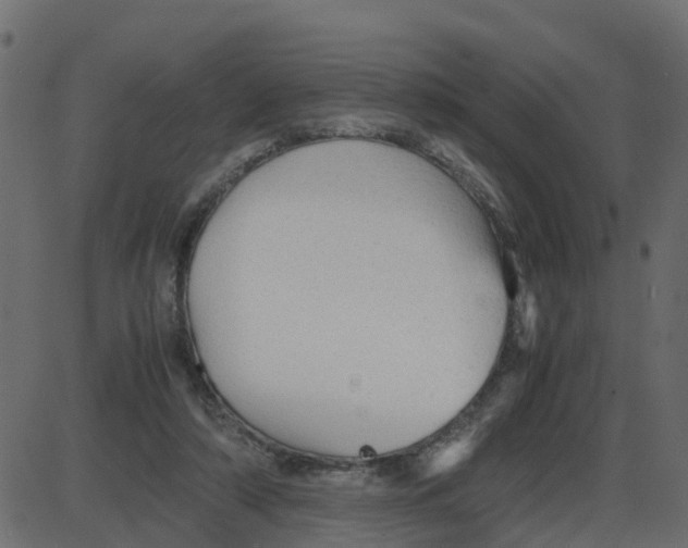 X0000087400306200705181339