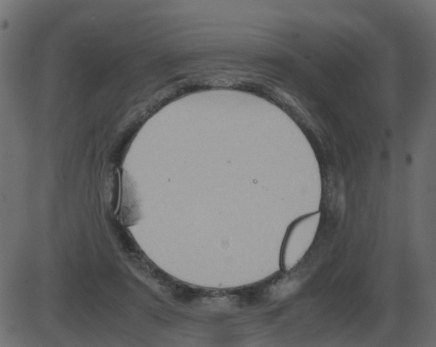 X0000087400307200705181339