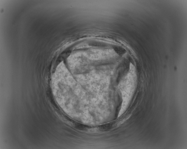 X0000087400309200705181339