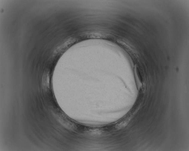 X0000087400310200705181339