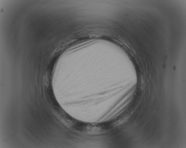 X0000087400311200705181339