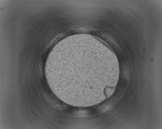 X0000087400312200705181339