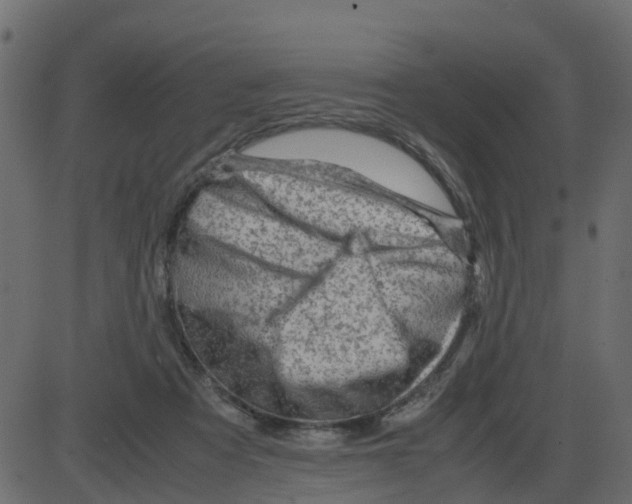 X0000087400313200705181339