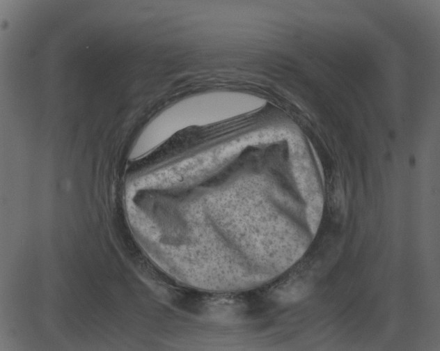 X0000087400315200705181339