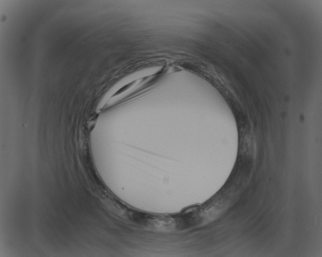 X0000087400317200705181339