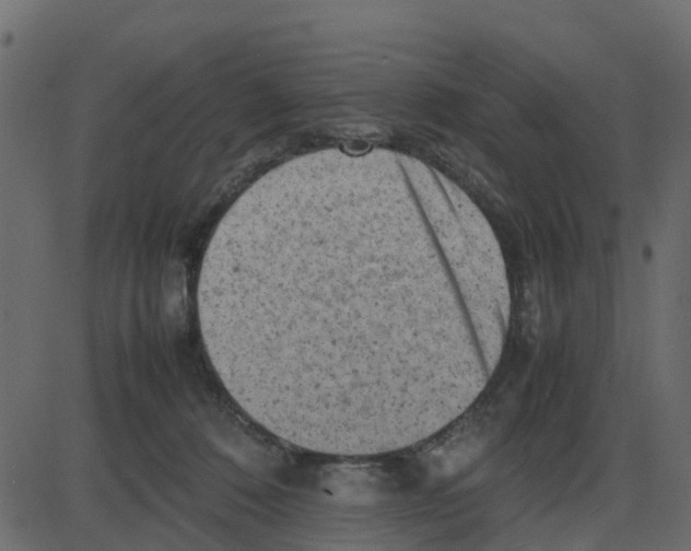 X0000087400320200705181339