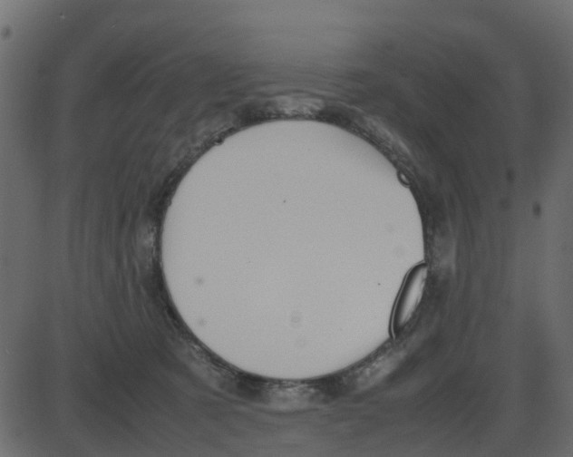 X0000087400321200705181339