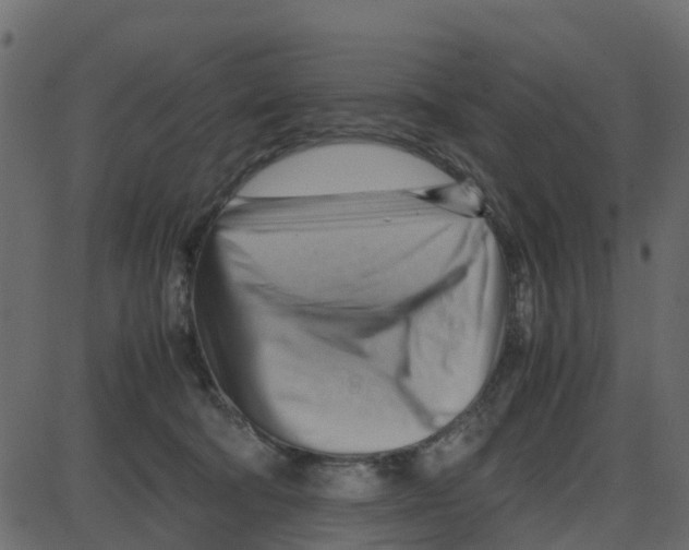 X0000087400322200705181339