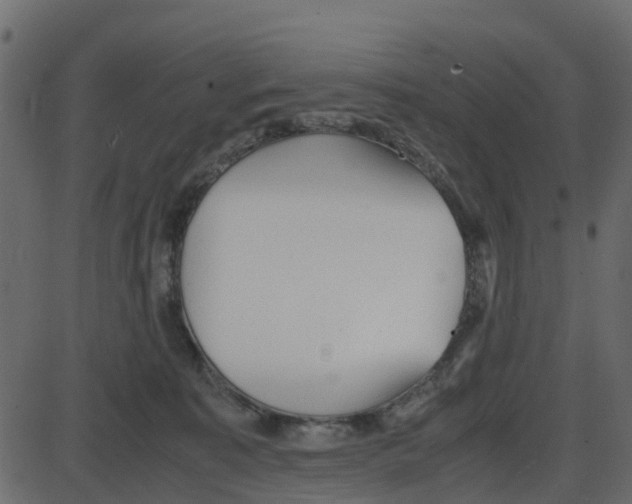 X0000087400323200705181339