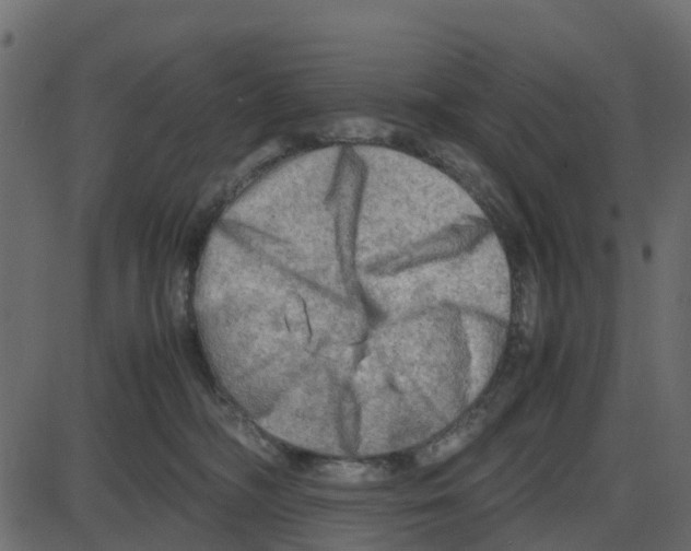 X0000087400326200705181339