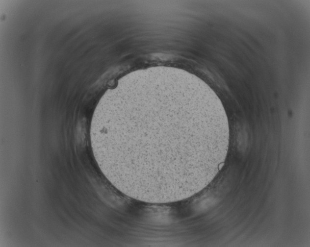 X0000087400328200705181339