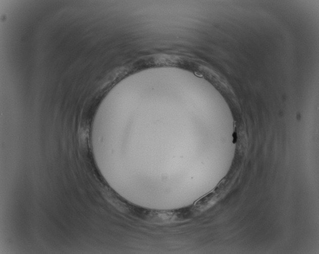 X0000087400329200705181339