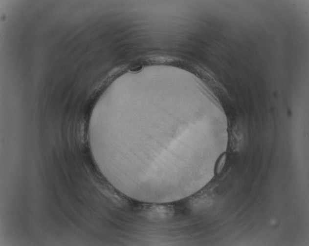 X0000087400330200705181339