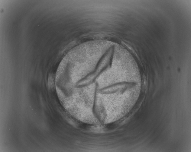 X0000087400335200705181338