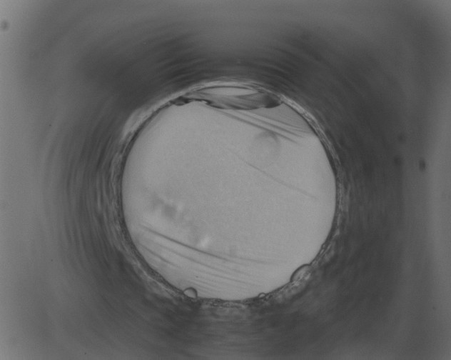 X0000087400337200705181338