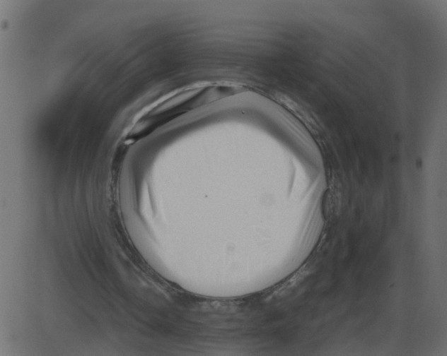 X0000087400338200705181338