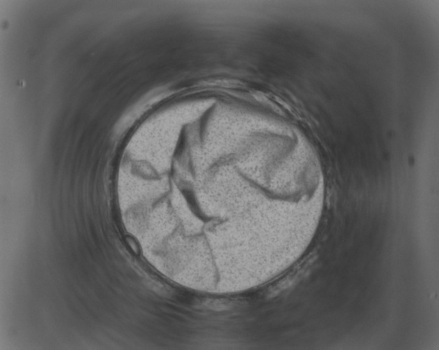 X0000087400341200705181338