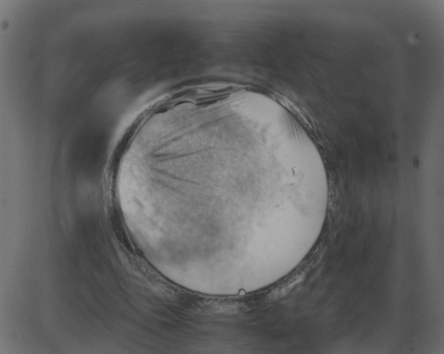 X0000087400343200705181338