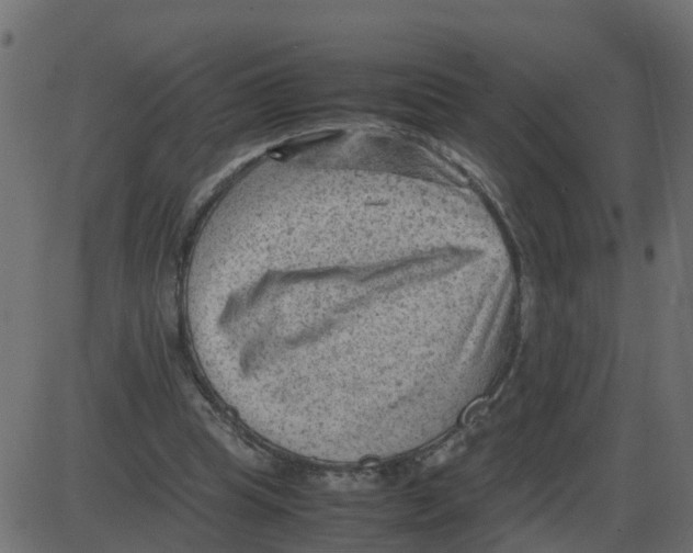 X0000087400345200705181338