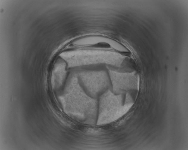 X0000087400346200705181338