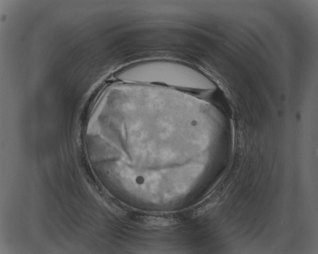 X0000087400347200705181338