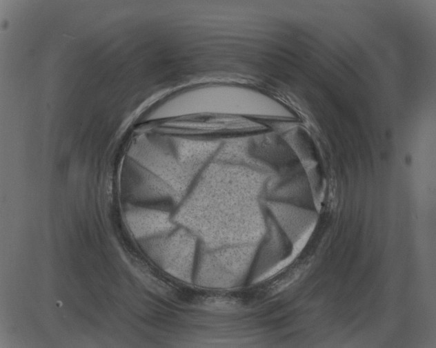 X0000087400348200705181338