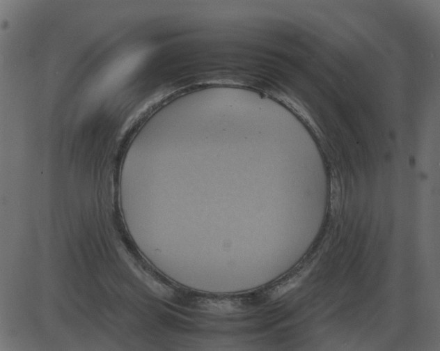 X0000087400349200705181338