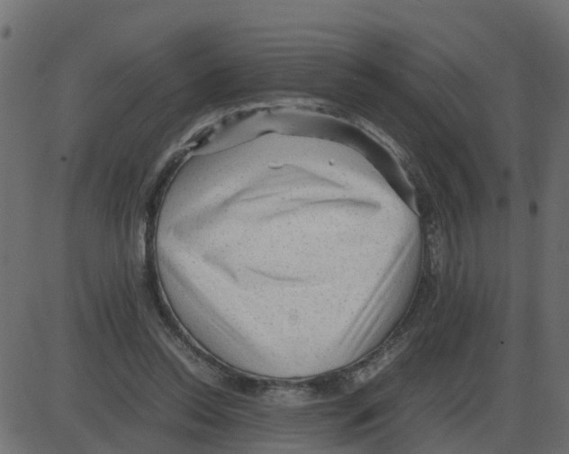 X0000087400350200705181338