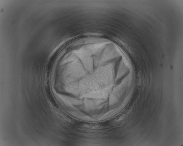 X0000087400351200705181338